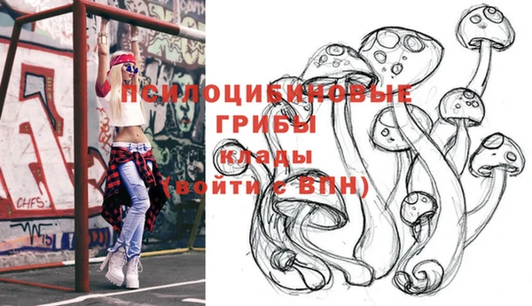 метамфетамин Алексин