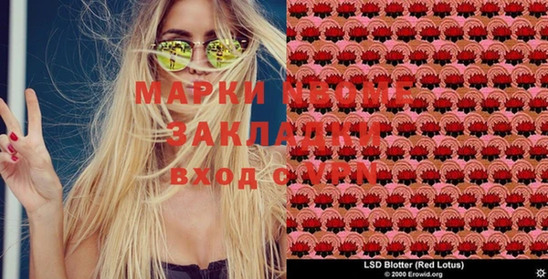 прущие грибы Алексеевка