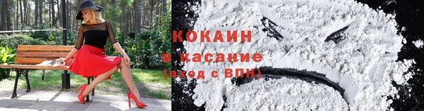 прущие грибы Алексеевка