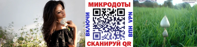 Купить где Дыгулыбгей Псилоцибиновые грибы ЛСД